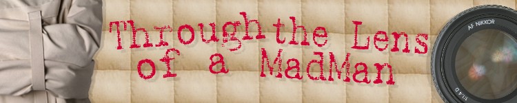 Through the Lens of a MadMan